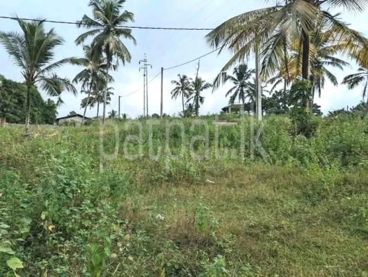 premium-listing-image