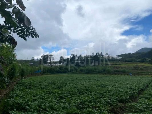 Commercial Land for Sale in Nuwara Eliya