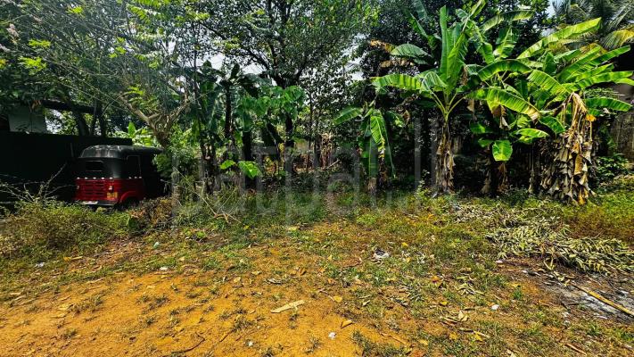 Residential Land for Sale in Kadawatha