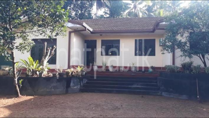 premium-listing-image