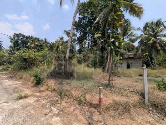 Commercial Land for Sale in Gampaha
