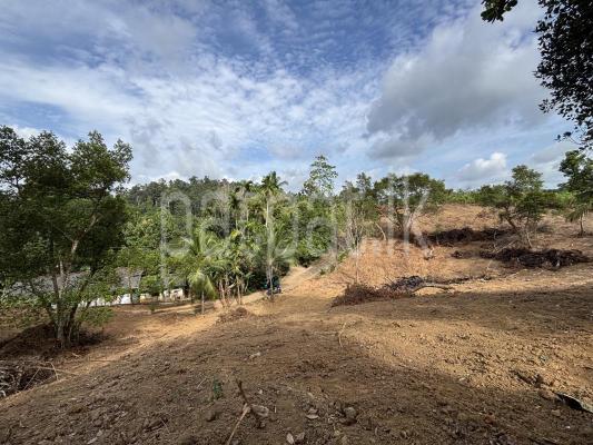 premium-listing-image