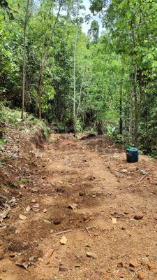 Residential Land for Sale in Ayagama