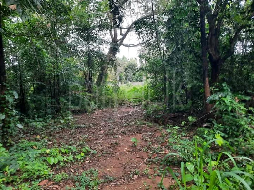 Commercial Land for Sale in Bibile