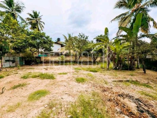 Residential Land for Sale in Weliveriya