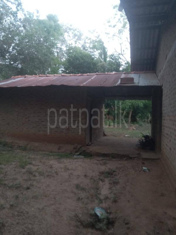 Commercial Land for Sale in Weerawila