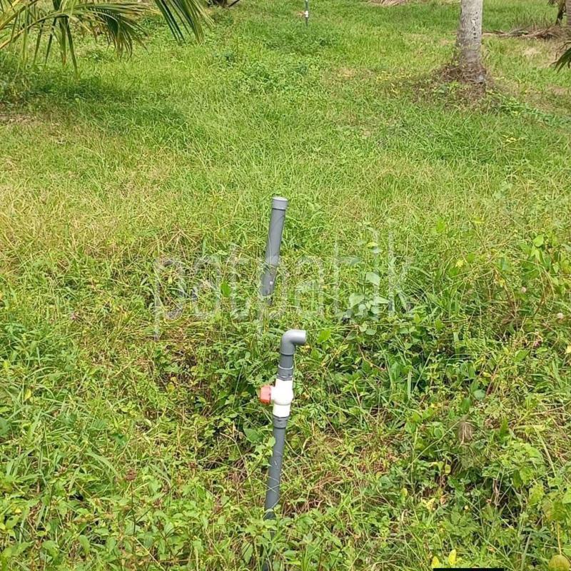 Agricultural Land for Sale in Madampe