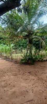 Agricultural Land for Sale in Kataragama