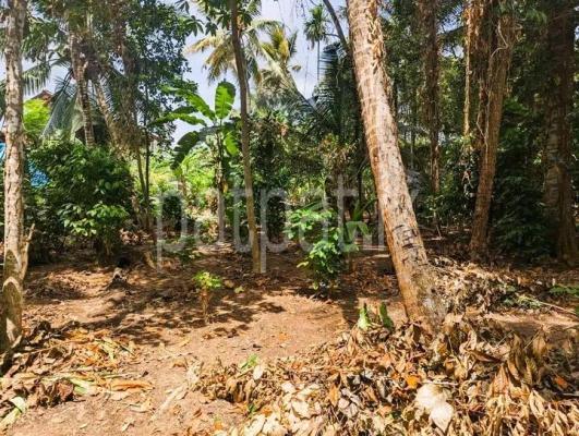 premium-listing-image