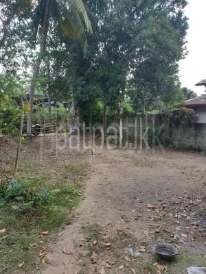 premium-listing-image