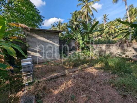 premium-listing-image