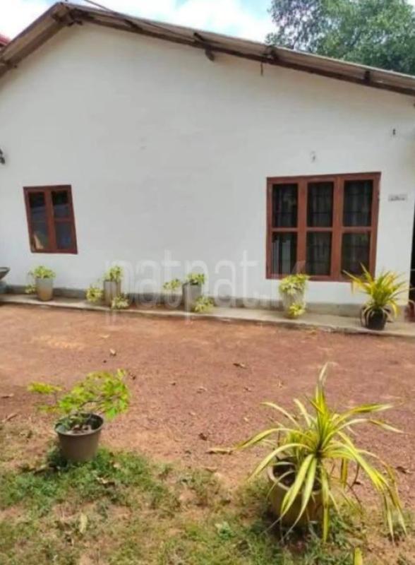 House for Sale in Negombo