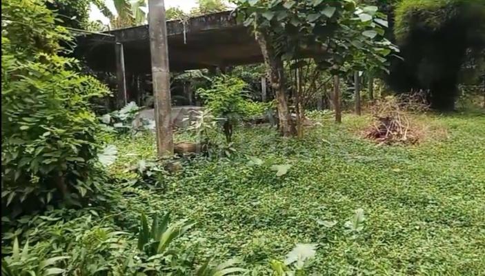 Agricultural Land for Sale in Avissawella