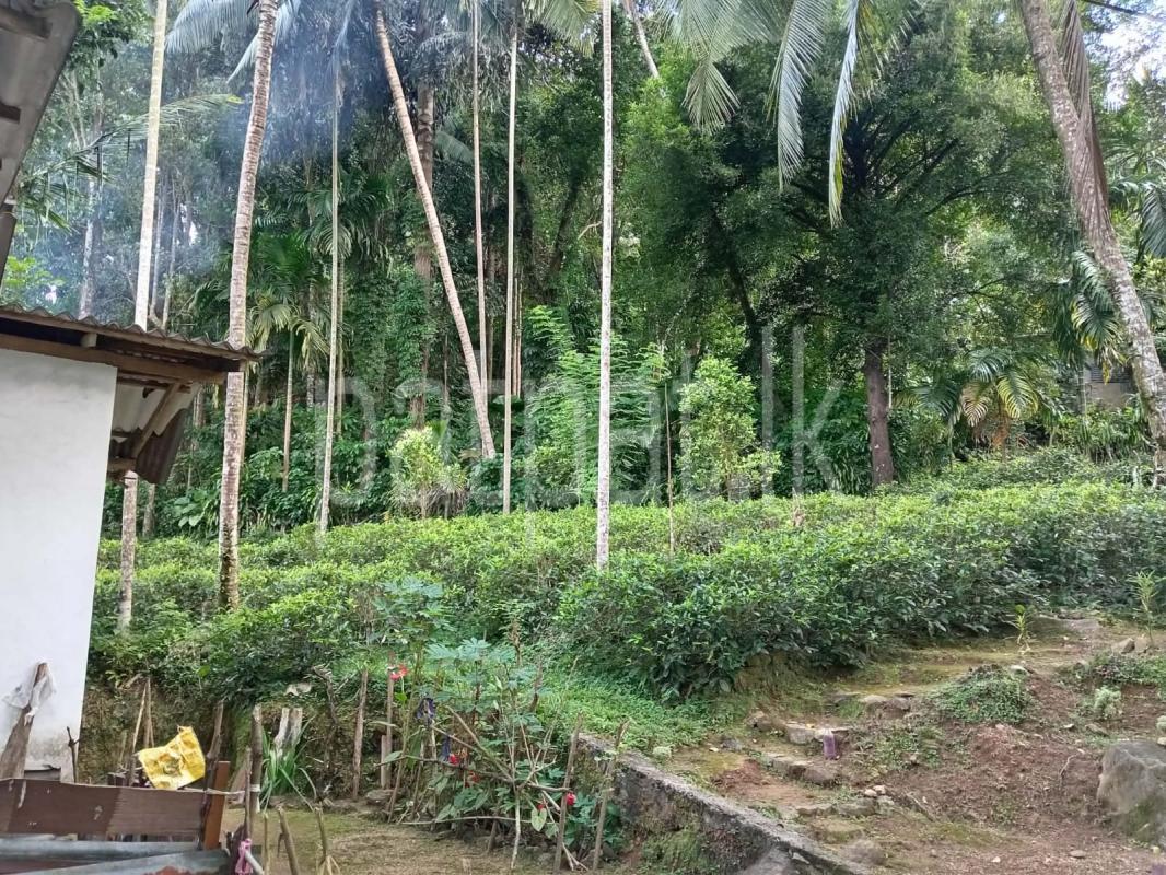 House for Sale in Bulathkohupitiya