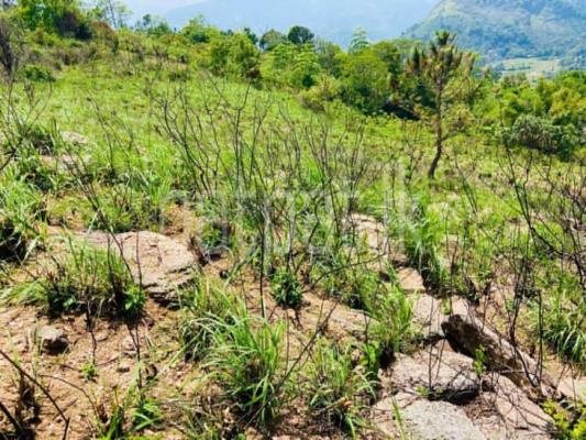 premium-listing-image