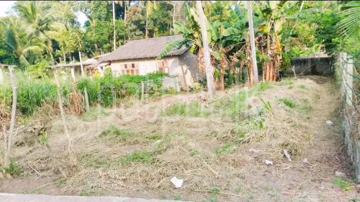 premium-listing-image