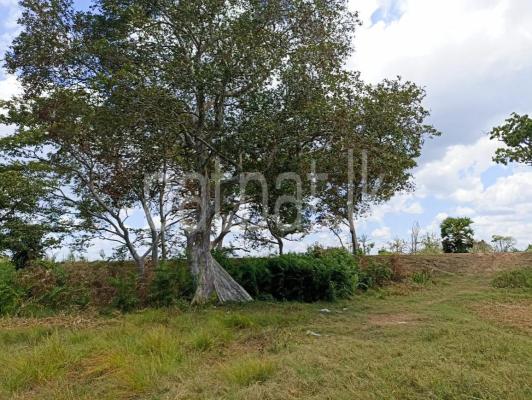 premium-listing-image