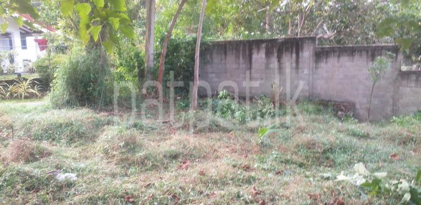 premium-listing-image