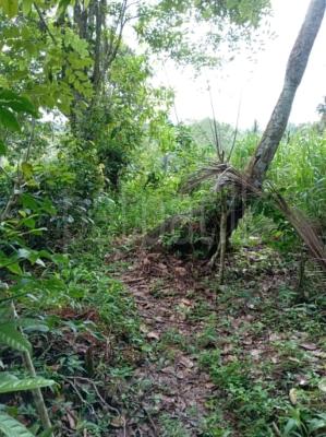 Commercial Land for Sale in Imaduwa