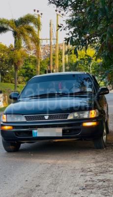 Toyota Corolla 1992