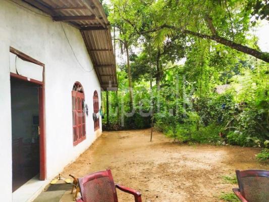 premium-listing-image