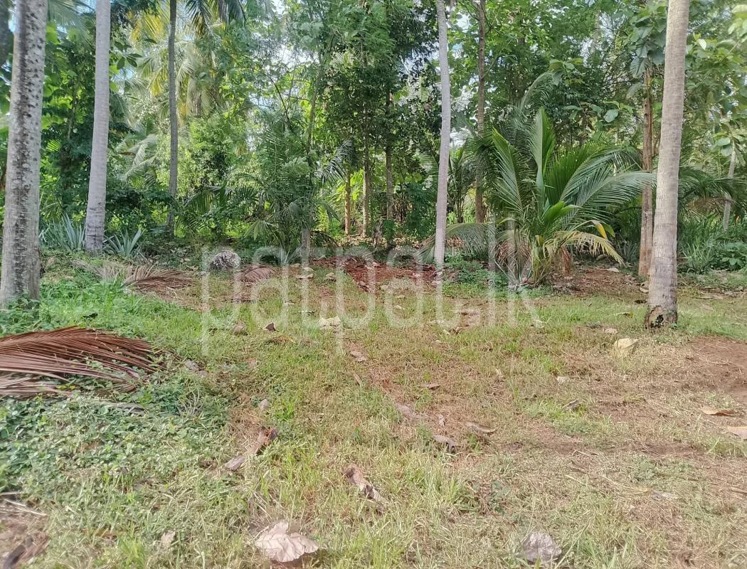 Agricultural Land for Sale in Beliatta