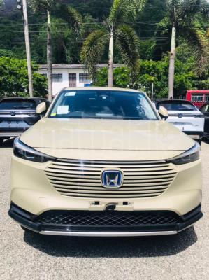 premium-listing-image