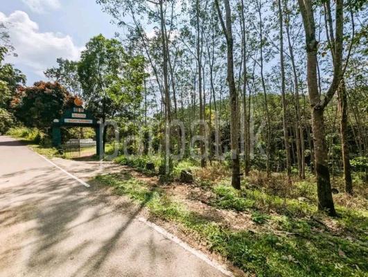 premium-listing-image