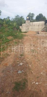 premium-listing-image