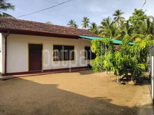 premium-listing-image