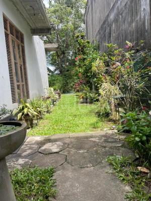 premium-listing-image