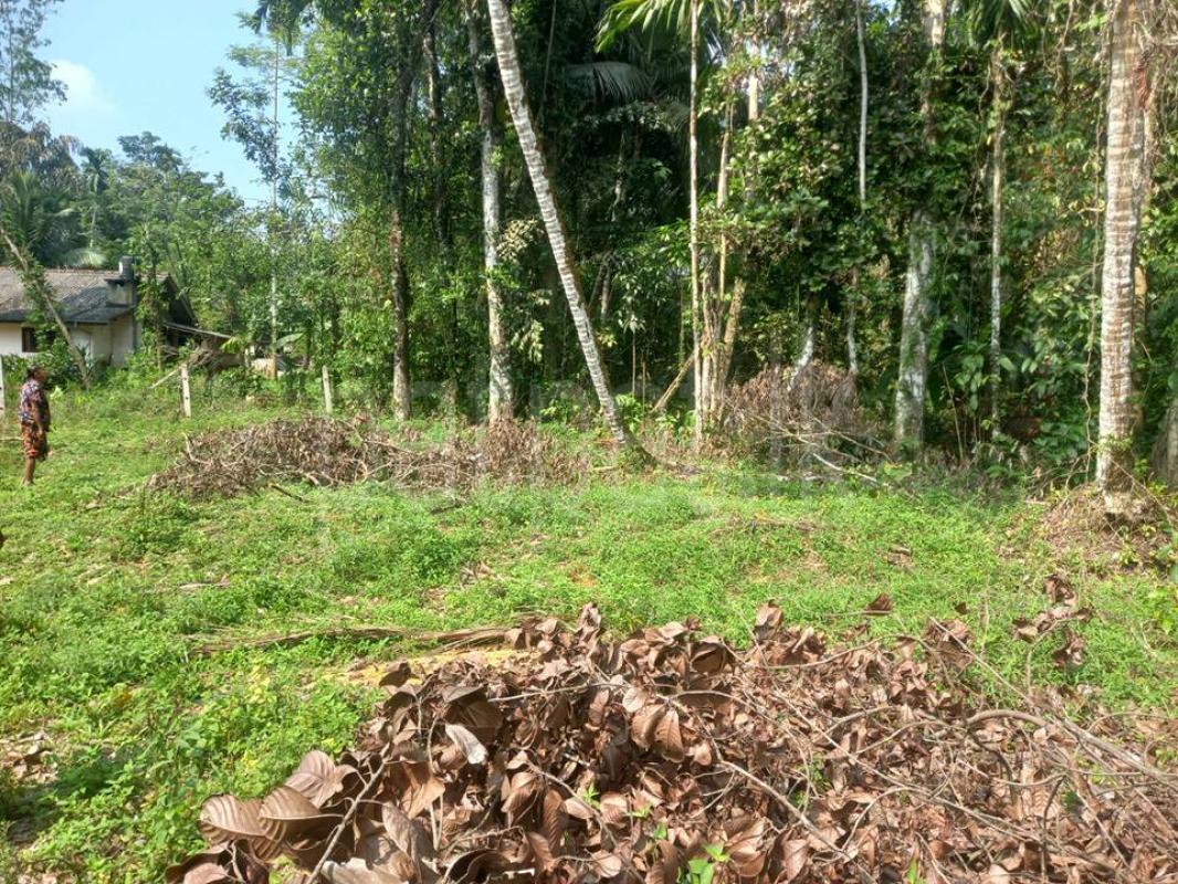 Residential Land for Sale in Horana
