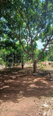 Agricultural Land for Sale in Sella Kataragama