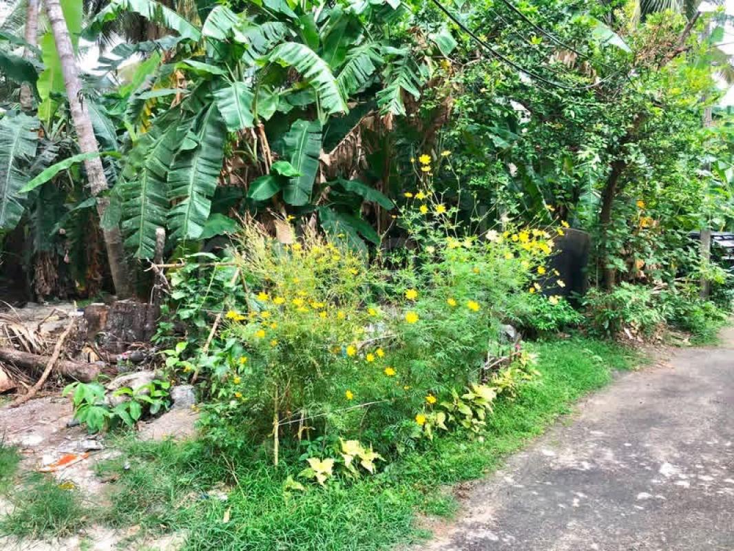 Residential Land for Sale in Kotte