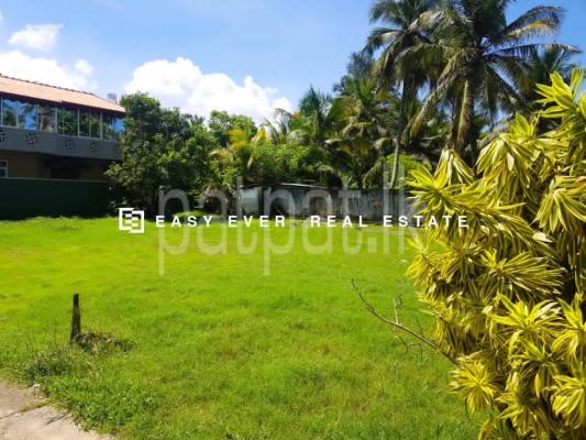 Residential Land for Sale in Uswetakeiyawa