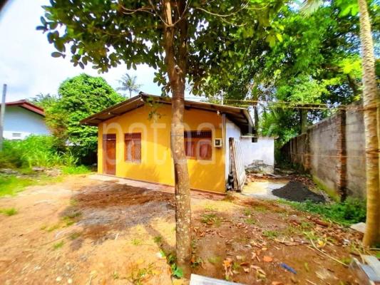 premium-listing-image