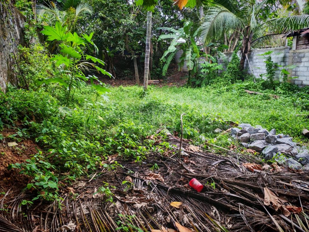 Residential Land for Sale in Moratuwa