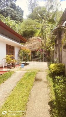 premium-listing-image