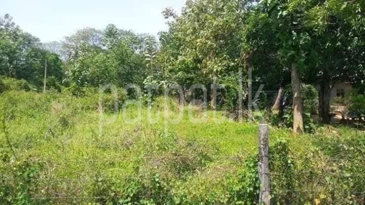 premium-listing-image