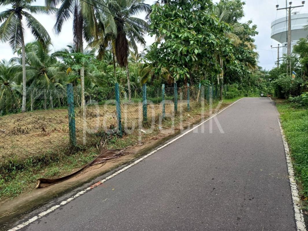Residential Land for Sale in Weliveriya