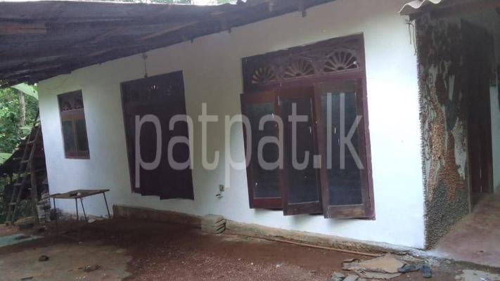 premium-listing-image