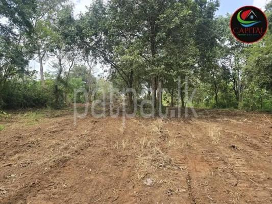 premium-listing-image