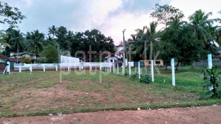 Residential Land for Sale in Negombo