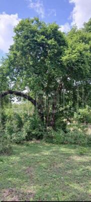 Residential Land for Sale in Kataragama