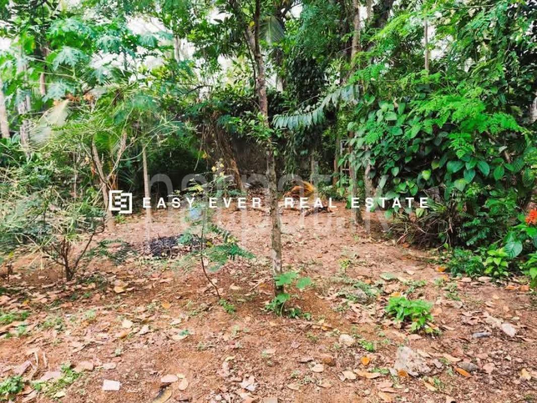 Residential Land for Sale in Yakkala