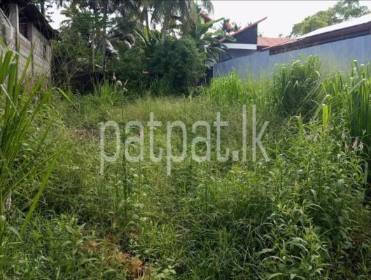 premium-listing-image