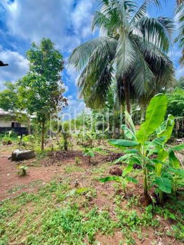 Residential Land for Sale in Piliyandala