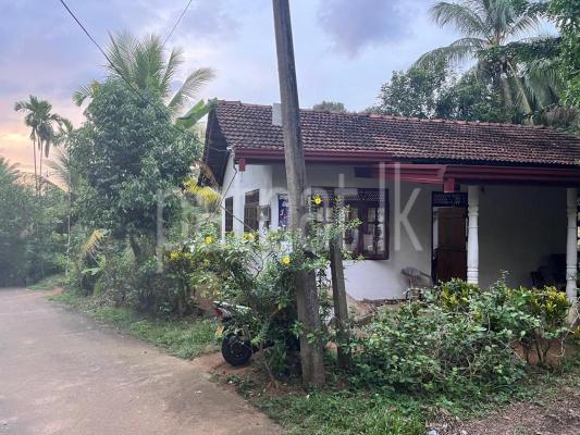 premium-listing-image