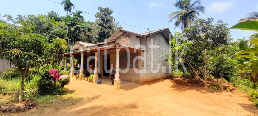 premium-listing-image