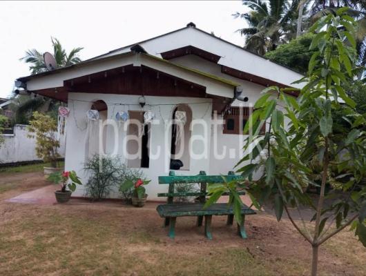 premium-listing-image